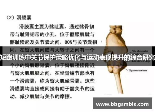 短跑训练中关节保护策略优化与运动表现提升的综合研究