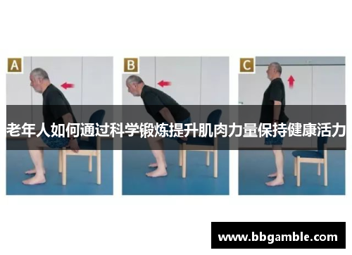 老年人如何通过科学锻炼提升肌肉力量保持健康活力