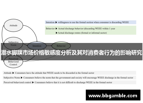 潜水脚蹼市场价格敏感度分析及其对消费者行为的影响研究
