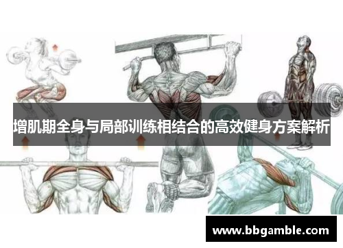 增肌期全身与局部训练相结合的高效健身方案解析