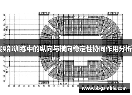 腹部训练中的纵向与横向稳定性协同作用分析